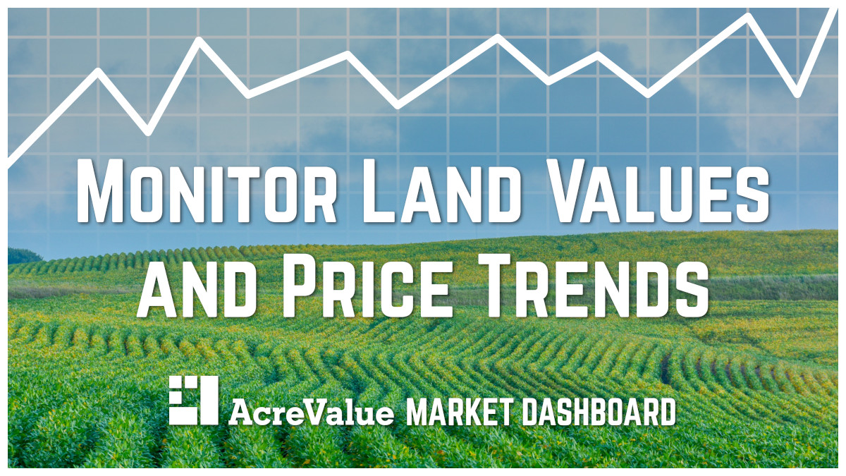 Market report dashboard graphic