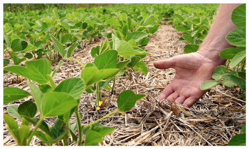 carbon-farming